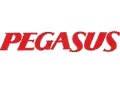 Pegasus Airlines logo